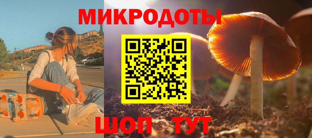 Псилоцибиновые грибы ЛСД  Вход с VPN  Псилоцибиновые грибы ЛСД  Грозный 