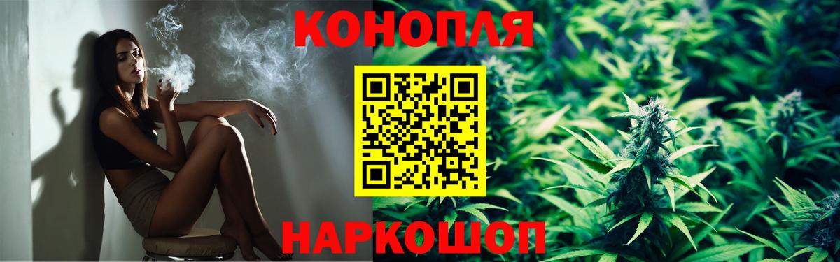 Конопля Грозный